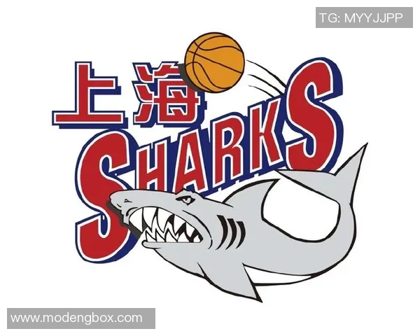 上海篮球队实力分析与未来发展潜力的深度探讨