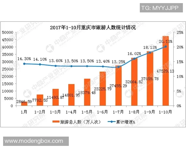 重庆排球队个人能力分析与表现评估研究报告 重庆排球队个人能力分析与表现评估研究报告